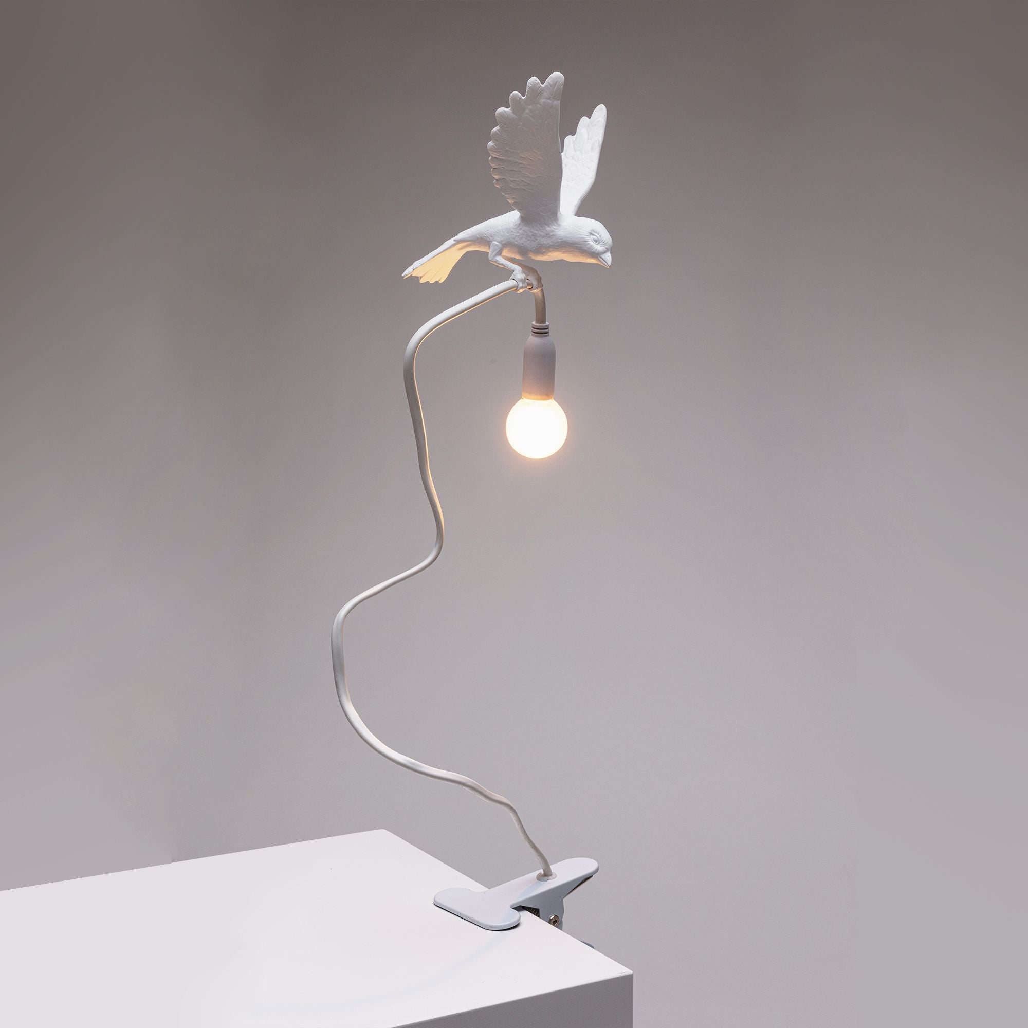 Seletti Sparrow Lamp With Clamp, Landing