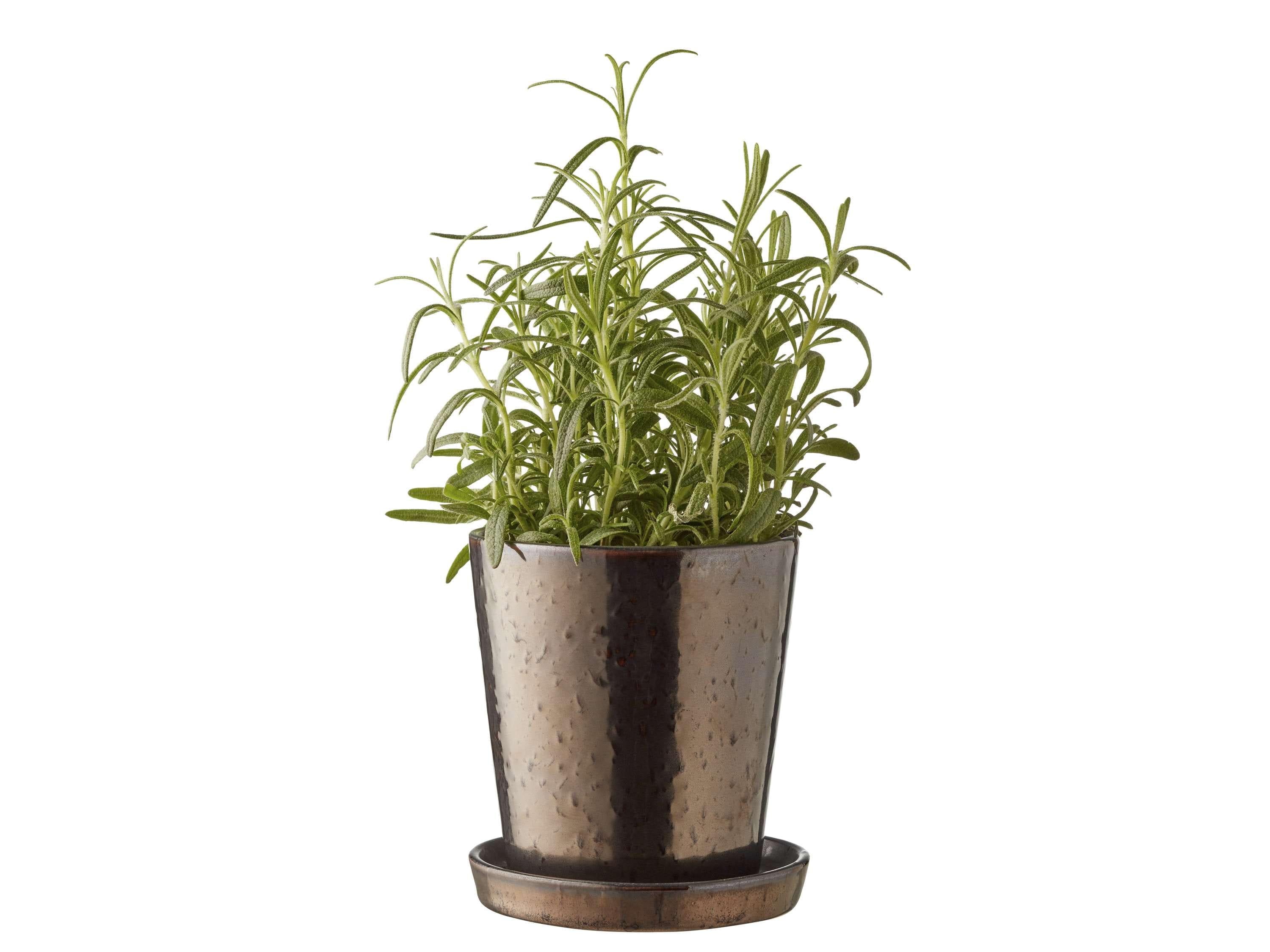 Bitz Planter Black/Bronze, ø10 Cm