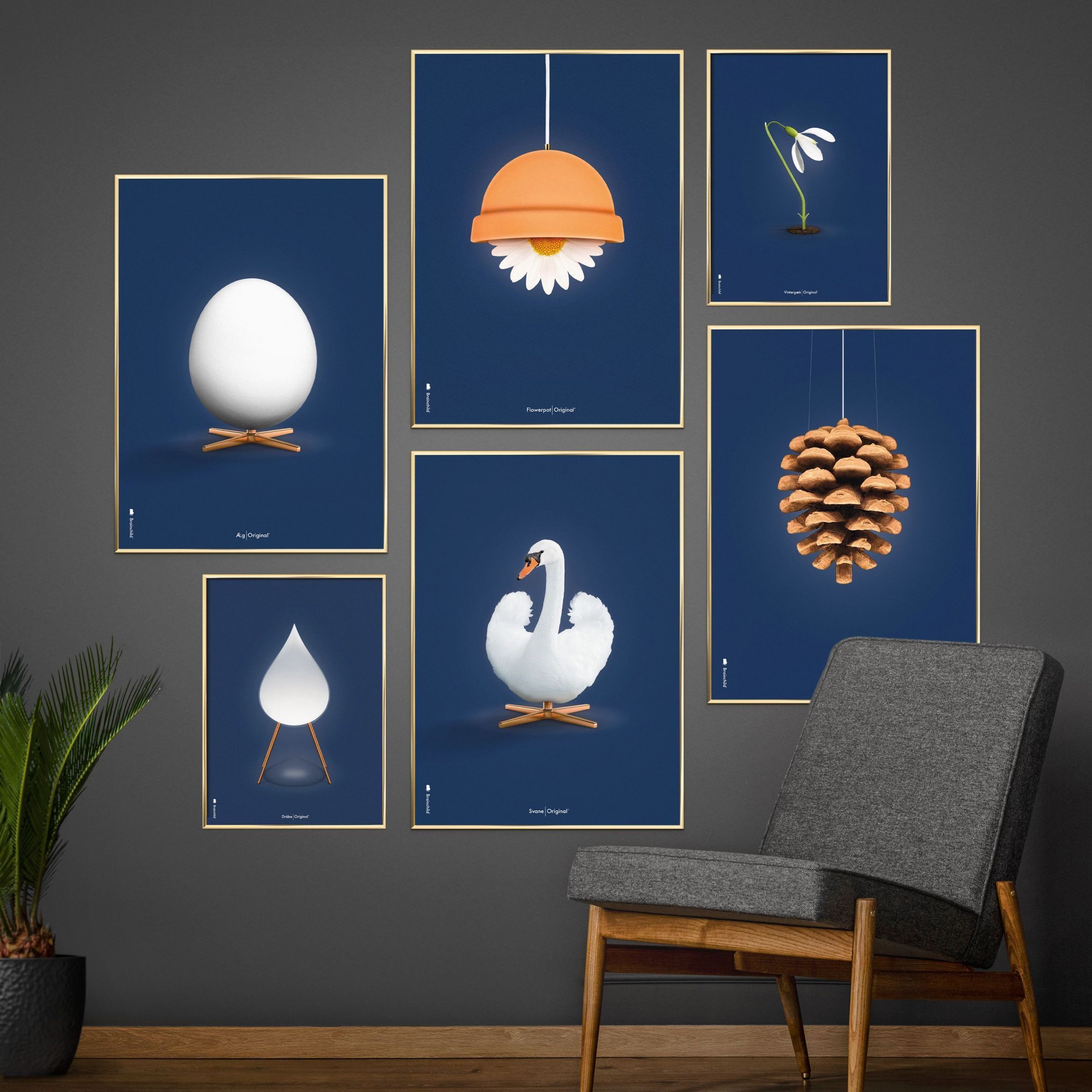 Brainchild Flowerpot Classic Poster, Brass Frame 50x70 Cm, Dark Blue Background