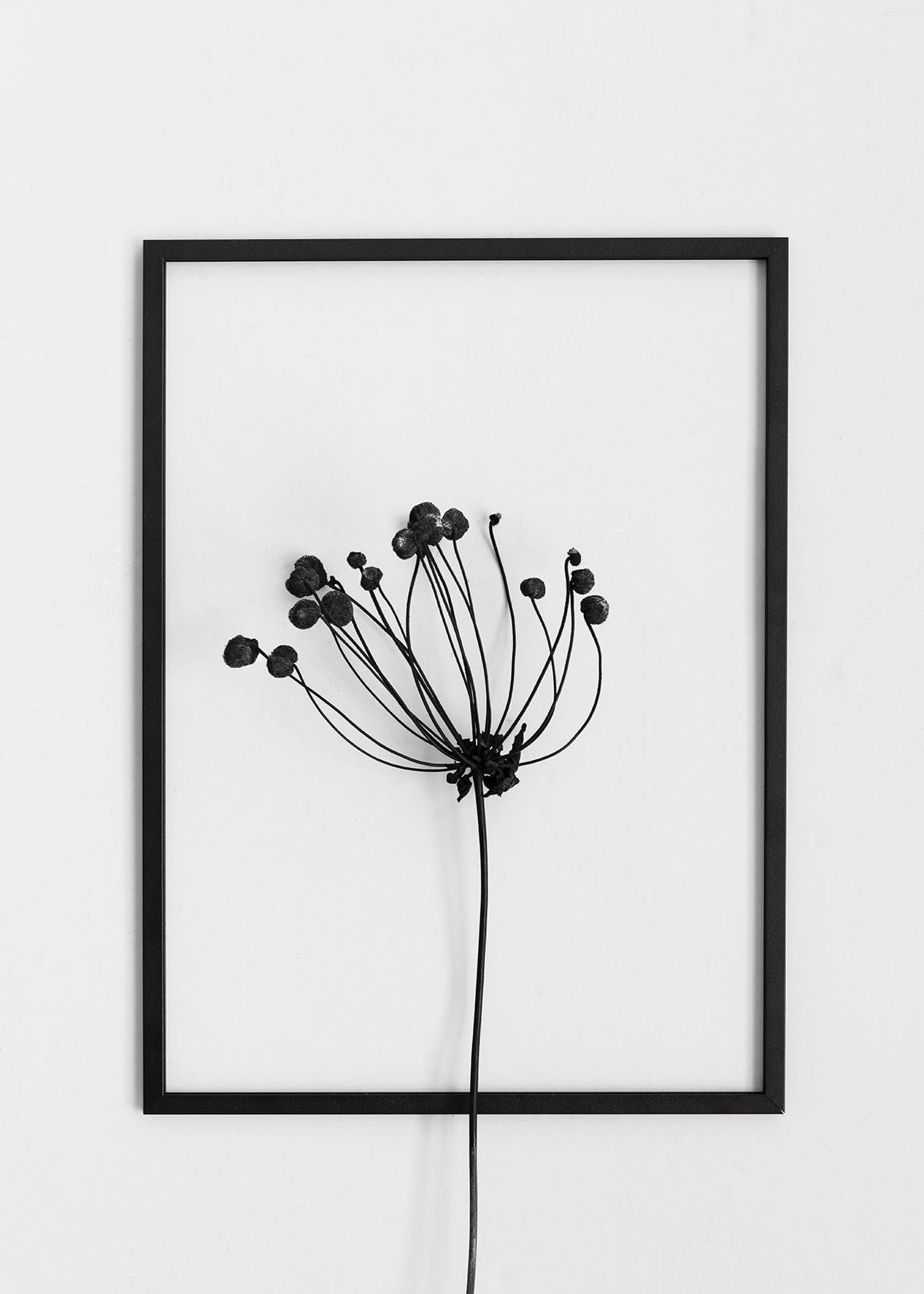 Moebe Frame 50x70 Cm, Black