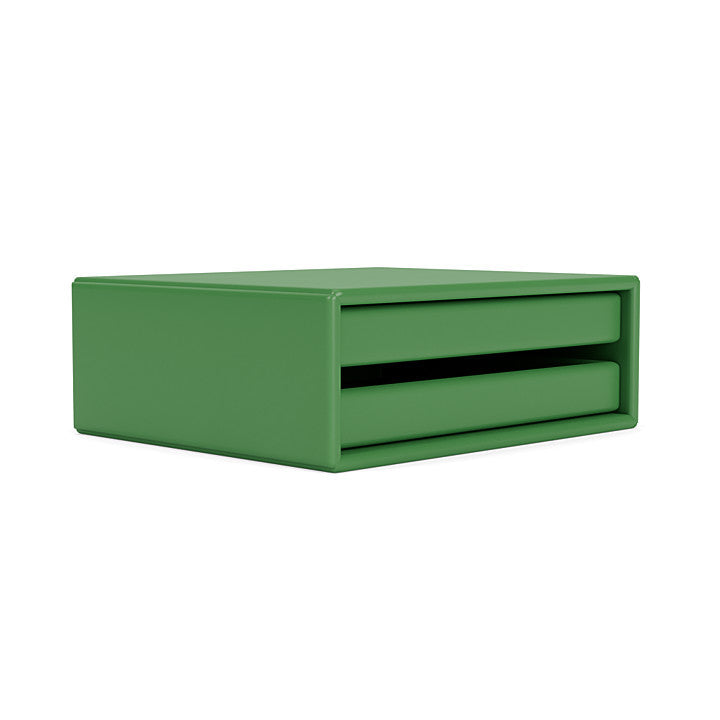 Montana Classify Tray Module, Parsley Green