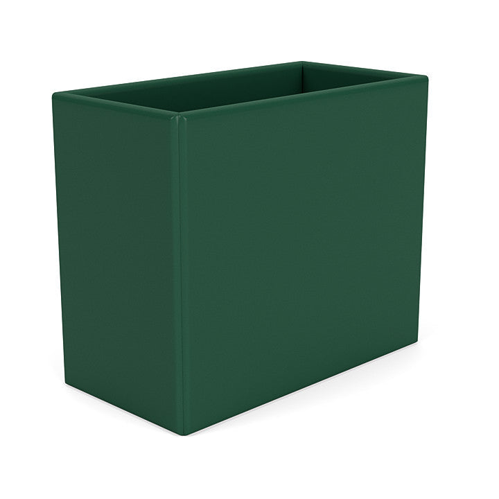 Montana Collect Organizer, Pine Green