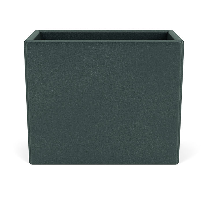 Montana Collect Organizer, Black Jade