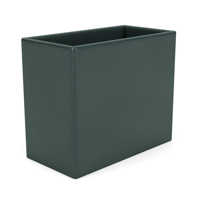 Montana Collect Organizer, Black Jade