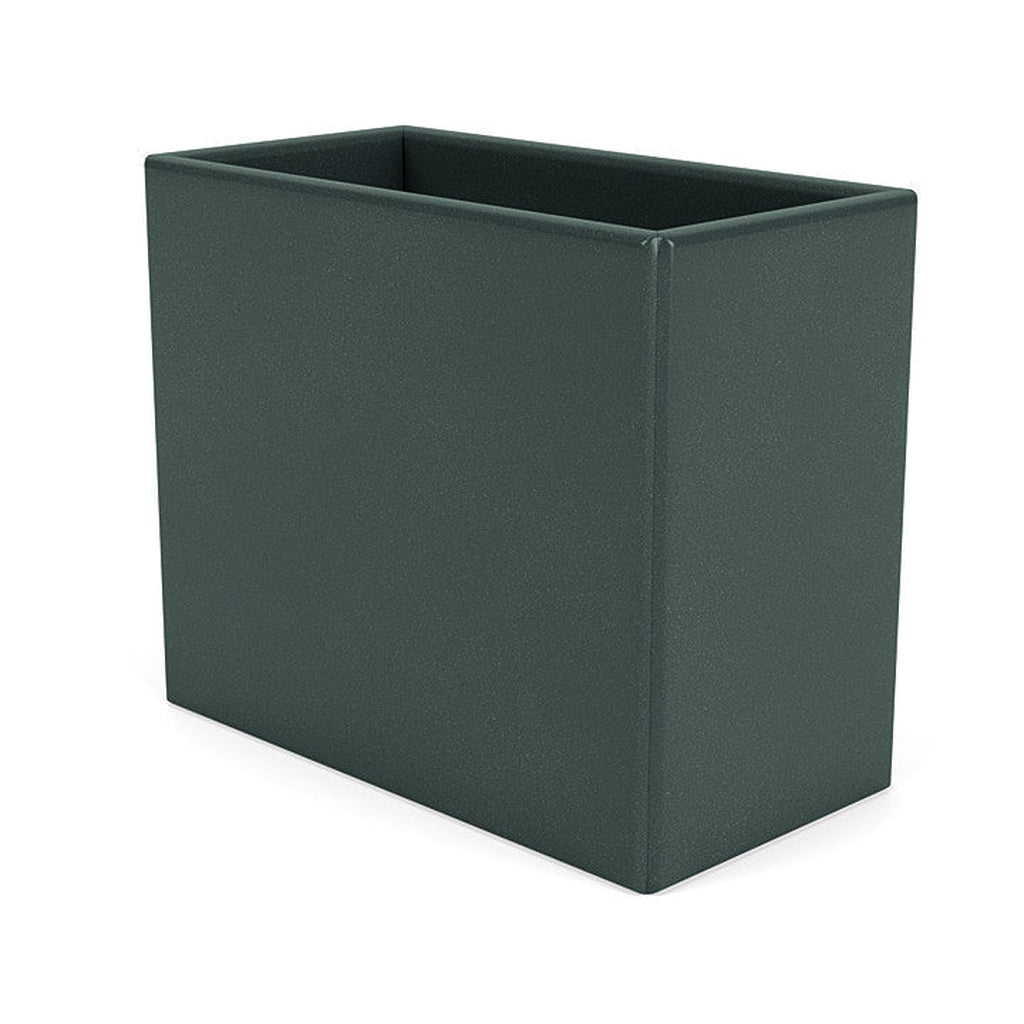 Montana Collect Organizer, Black Jade