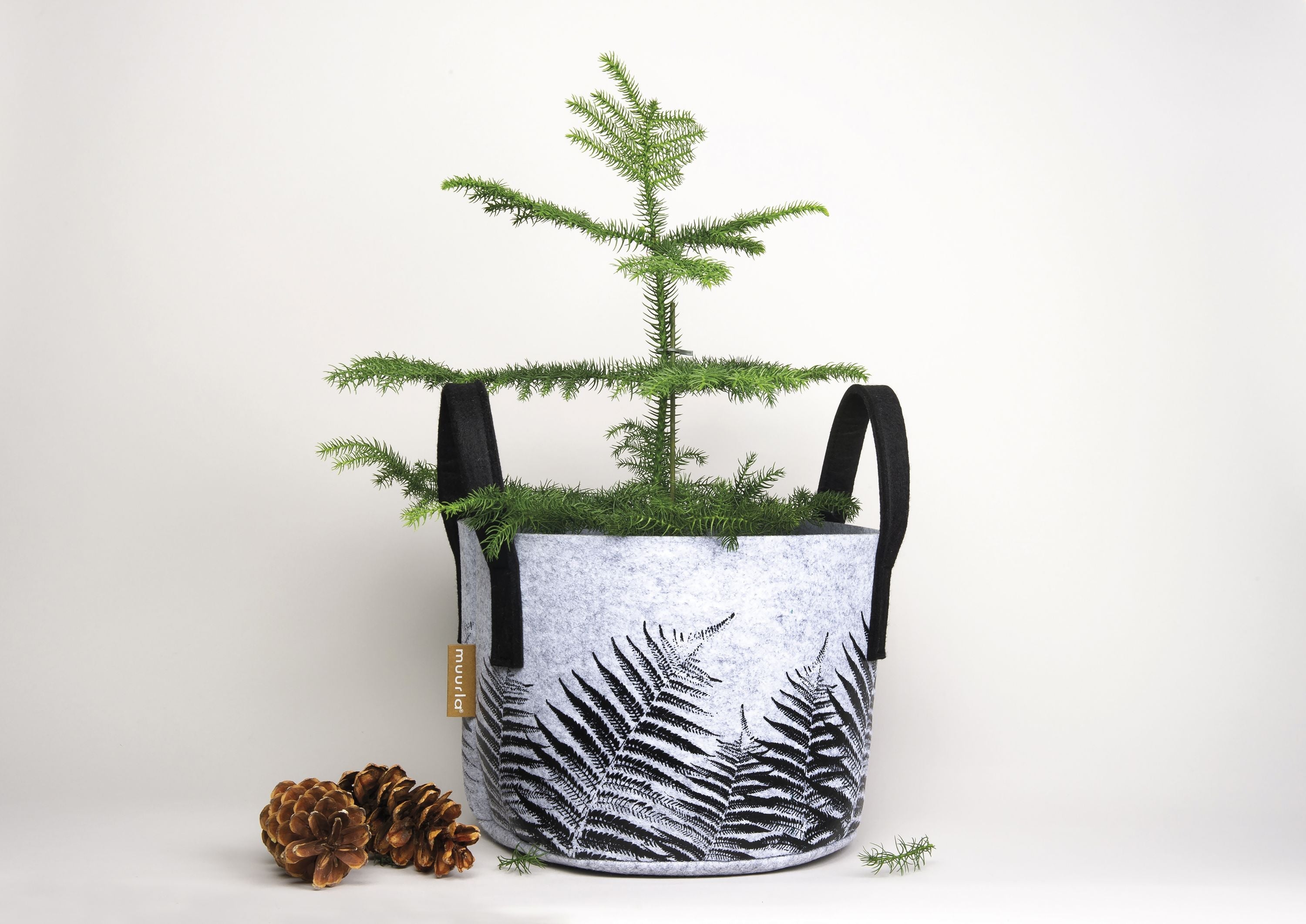 Muurla Storage Basket, The Fern