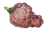 Villa Collection Styles Grape Decoration, Dark Pink