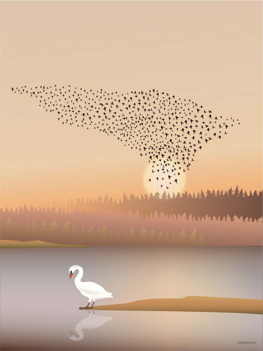 Vissevasse Murmuration Poster, 50x70 Cm