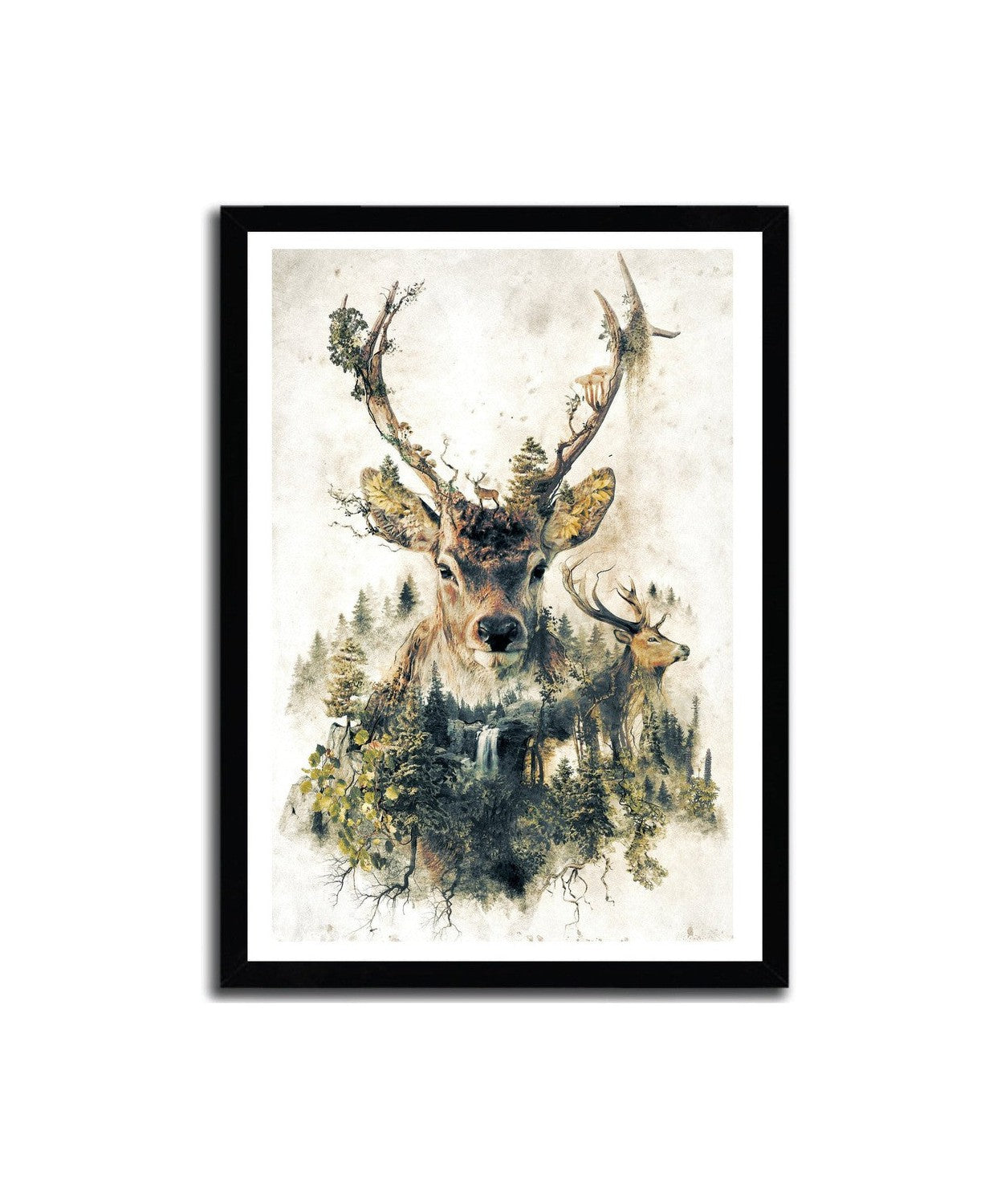 Affiche the deer par Barrett Biggers