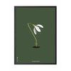 brainchild Affiche classique de Snowdrop, cadre en bois laqué noir A5, fond vert