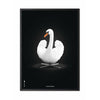  Swan Classic Poster Frame In Black Lacquered Wood 70x100 Cm White/White Background