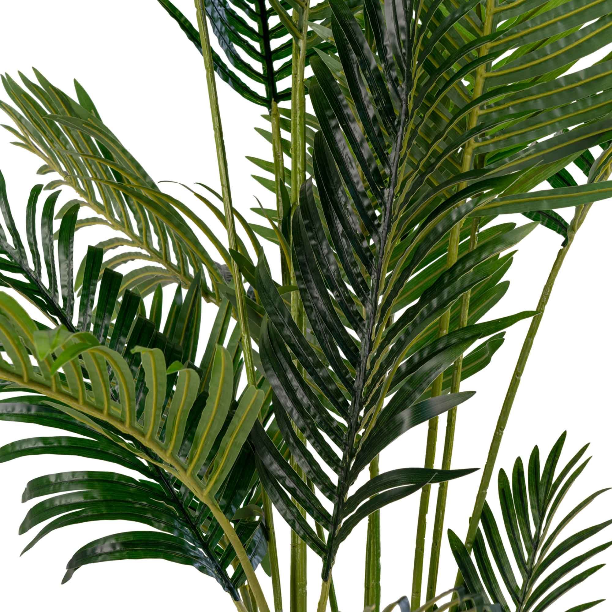 House Nordic Areca Palm