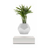 Flyte Plante de lyfe, blanc