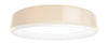  LP Grand Surface Mounted Plafond Lampe LED 4000 K 12 W Phase Semballage Ø320 champagne