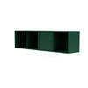 Montana Line Buffet avec rail de suspension, vert pin