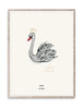  Lady Swan Poster 30x40 Cm