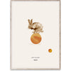  Rocky the Rabbit Poster 50x70 cm