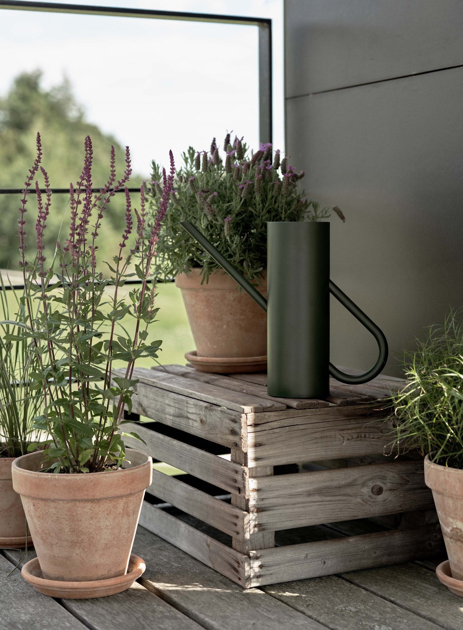 [product_category]-Stelton Bloom Watering Can 2 L, Pine-Stelton-5709846029606-345-STE-4