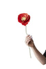 Studio About Paper Flower Ice Poppy Bright, Red