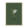 Brainchild Snowdrop Classic Poster, Brass Colored Frame 30x40 Cm, Green Background