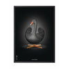 Brainchild Swan Classic Poster, Frame In Black Lacquered Wood 50x70 Cm, Black/Black Background