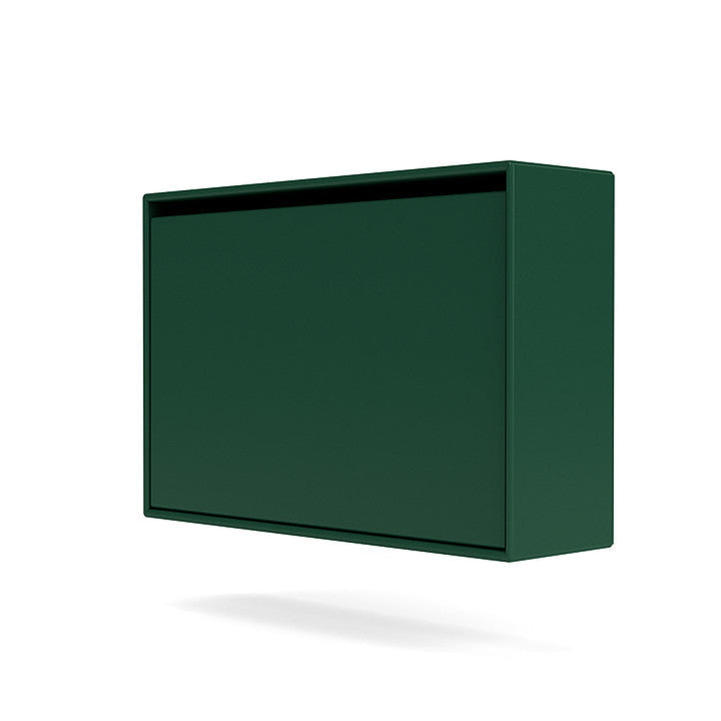 Montana Hide Shoe Cabinet, Pine Green