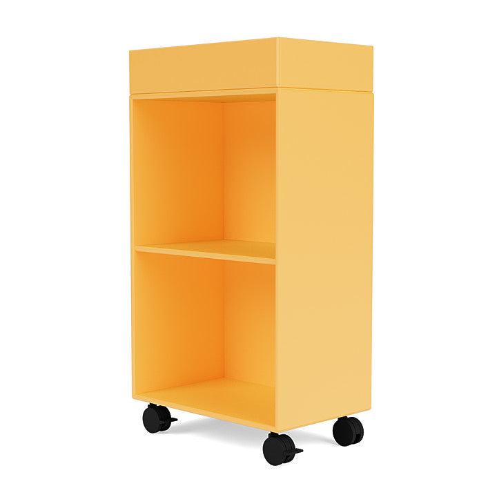 Montana Preppy Trolley, Acacia